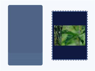 DIFFICOLTÀ ORTOGRAFICHE