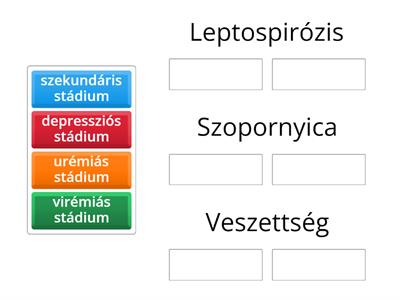 29.Melyik stádium jelentkezik az adott betegségnél?