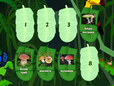 Біологія, 7 клас, Гриби