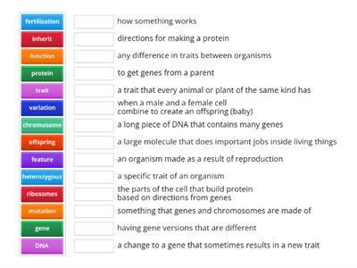 Traits and Reproduction PS