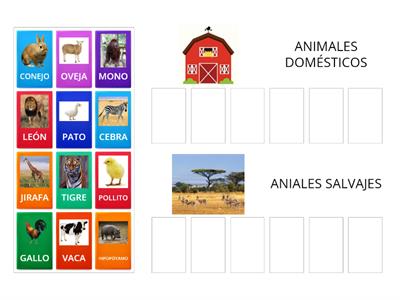  ANIMALES DOMÉSTICOS Y SALVAJES