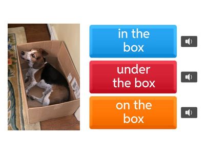 Spotlight Starter Module 2 in, on, under 