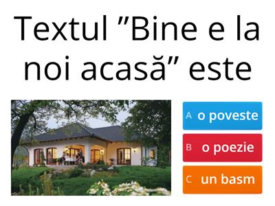 ”Bine e la noi acasă ! ” de E.Căldăraru