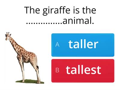 Comparative & Superlative