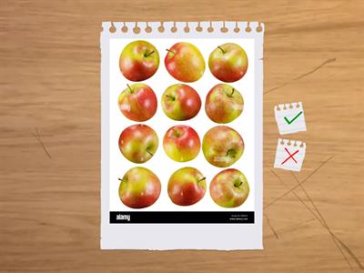 -Quanti sono? (Fino al 20)