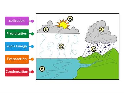 Water Cycle Diagram