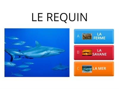 LES HABITATS DES ANIMAUX