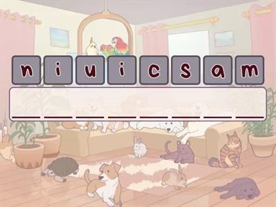 'cian' ending - anagrams