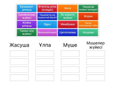 Жасуша → Ұлпа → Мүше → Мүшелер жүйесі