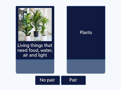 CKLA Plants Unit 5 Review