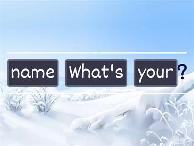 Introduction questions