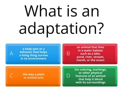 Adaptations