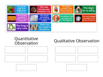 Qualitative/ Quantitative Observation