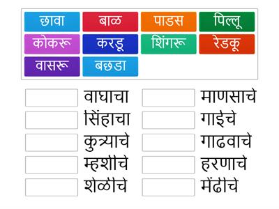 पिल्लुदर्शक शब्द 