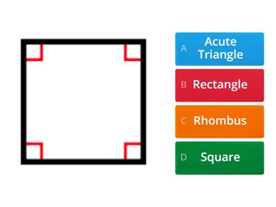 Polygons bibb Quiz