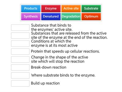 N5 Enzyme - match terms
