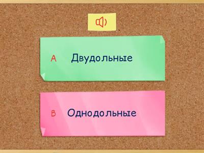 Классы Отдела Покрытосеменные