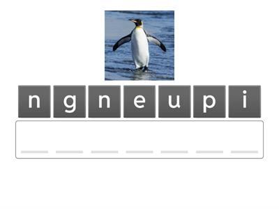 7. All About Penguins