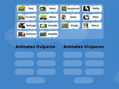 Ovíparos y Vivíparos 