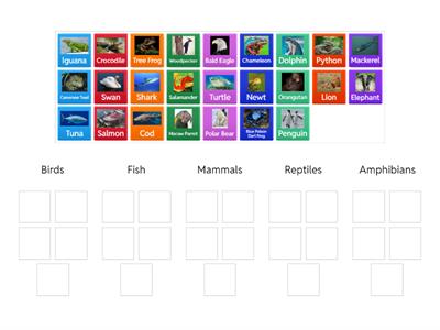 Animal Classification Game
