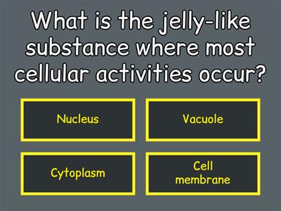 Cell Quiz