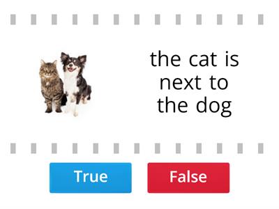 kids box 3 unit 4 true or false, difficult!