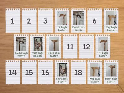 Ahlat bastonu kafa türleri eşleştirme