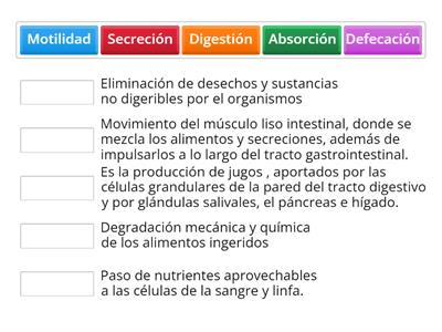 Procesos funcionales 