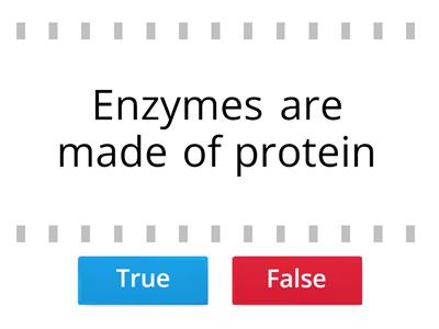 Enzymes