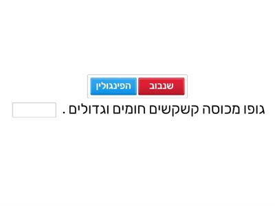 חיות מיוחדות באפריקה