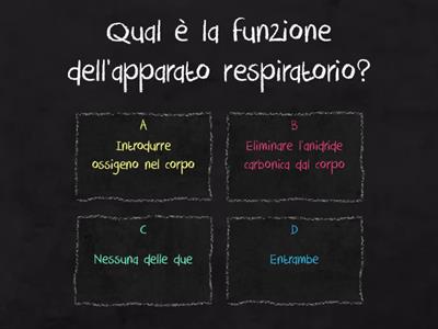 Apparato respiratorio