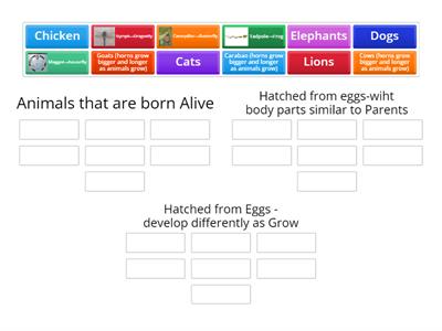 Changes as animal Grow