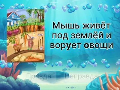 89. Правда или нет?