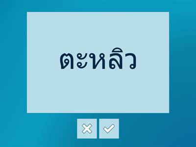 บัตรคำศัพท์ 06 หมวดหมู่ของใช้ในครัว (อ่านทบทวน)