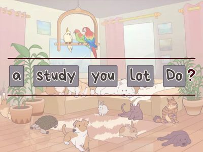 Questions in Simple Present