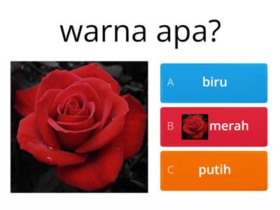 warna (Primary)