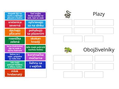 Plazy, obojživelníky - správne roztrieď