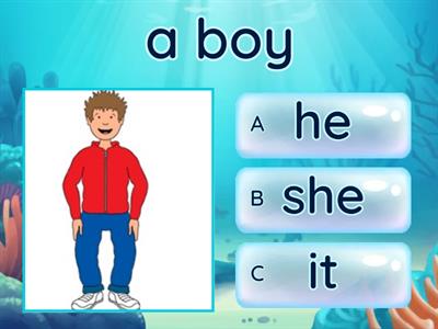  Pronoun (I, he, she,)