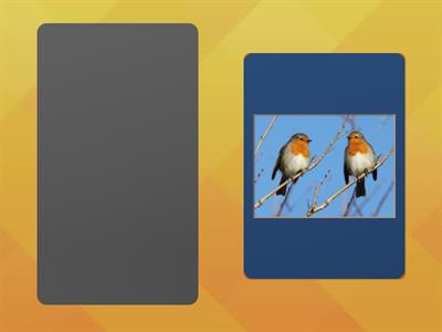 Subitise to 5 - birds