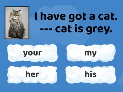 My/your/our/their/her/his/its