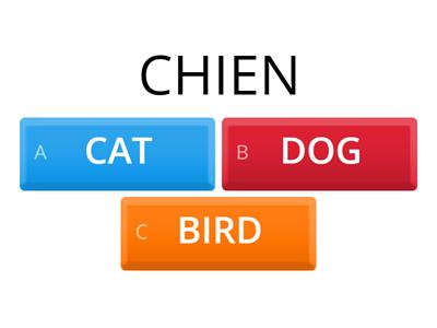 2ND YEARS XMAS TEST REVISION 