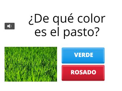 ¿De qué color soy?