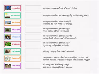 Producers, Consumers, Food Webs