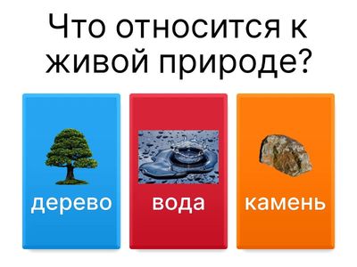 Живая и неживая природа