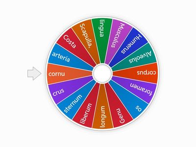 Латын тілі. Сөздің тегі тап(m;f;n)