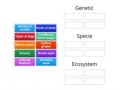 LEVELS OF BIODIVERSITY
