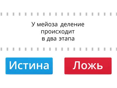 митоз и мейоз 