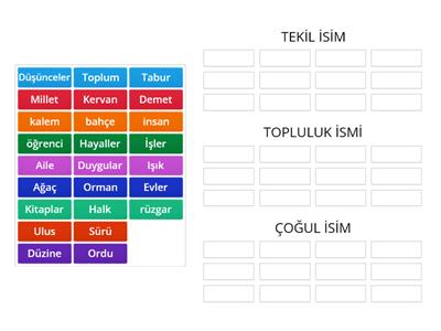  TEKİL-ÇOĞUL-TOPLULUK