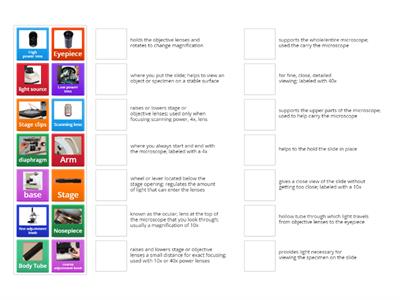 Match Up 2-Microscope