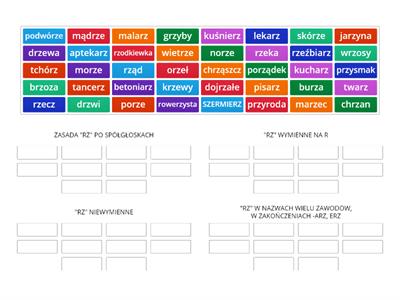 ZASADY PISOWNI WYRAZÓW Z "RZ"